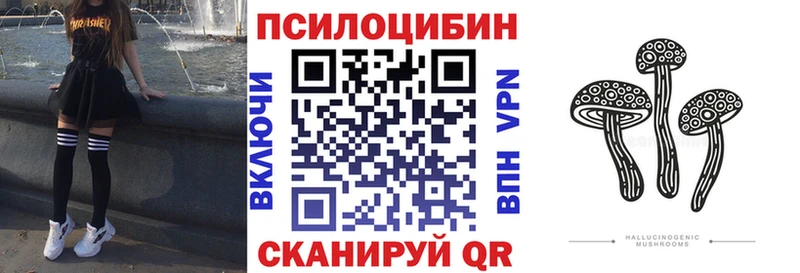Галлюциногенные грибы Psilocybine cubensis  Купить закладки  Ельня 